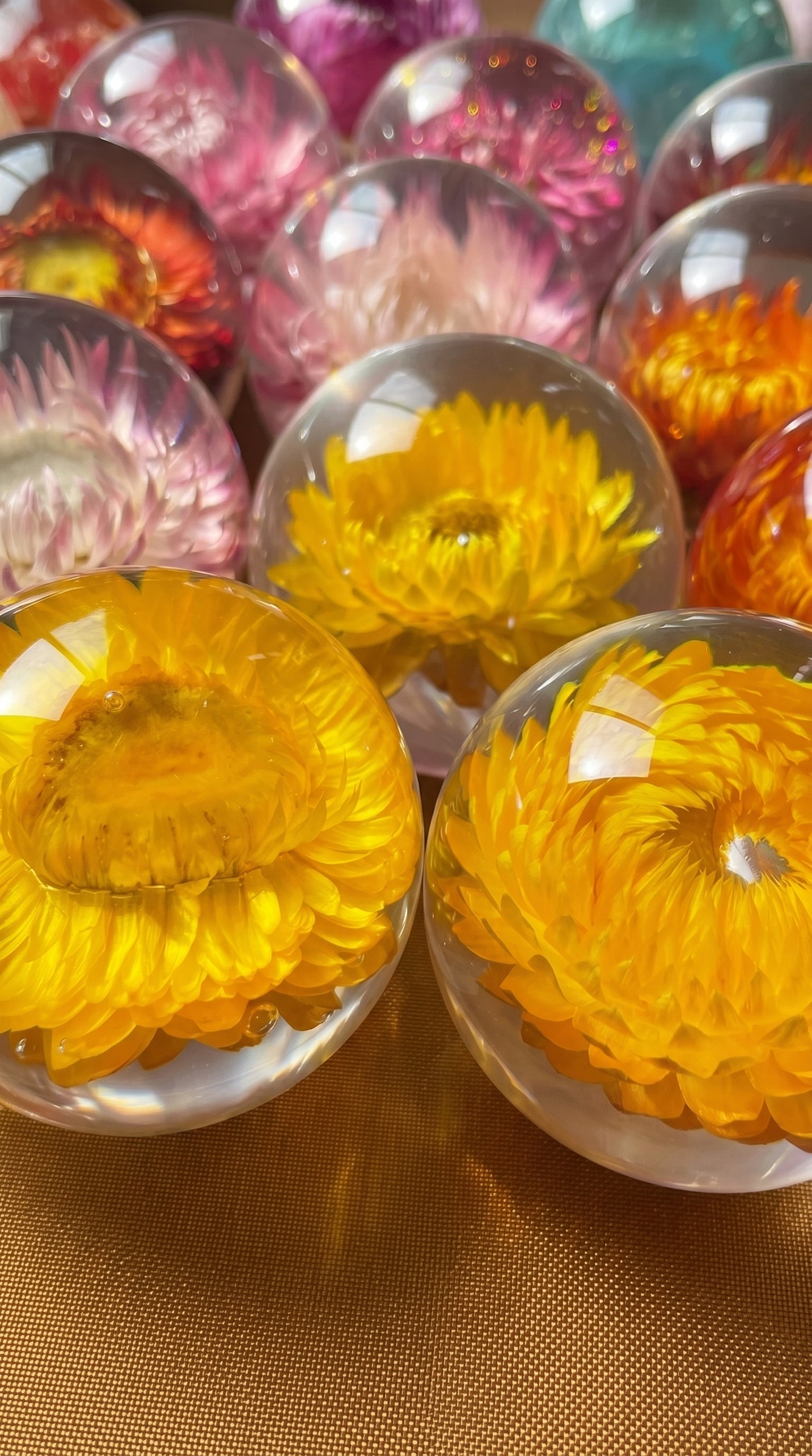 Flower Lamps